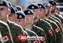 Canadá ante posible invasión de EEUU estudia tácticas de guerrillas